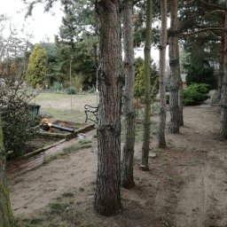 Piękny ogród Dominik Pomiankiewicz - Rewelacyjna Trawa z Rolki Zduńska Wola