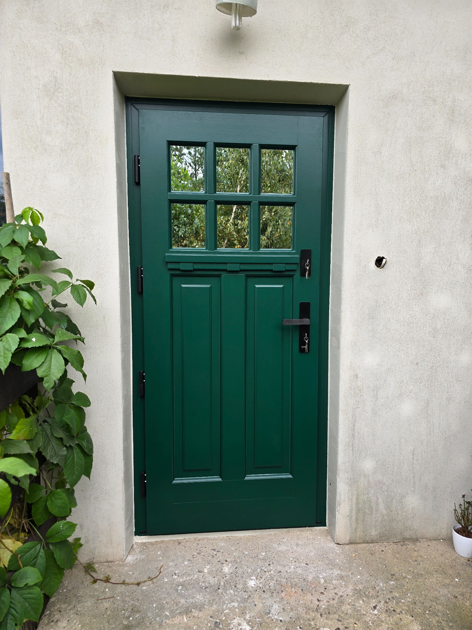 Zielone drzwi zewnętrzne z szybami, czarne okucia, widok z zewnątrz, obok ściana z roślinnością.