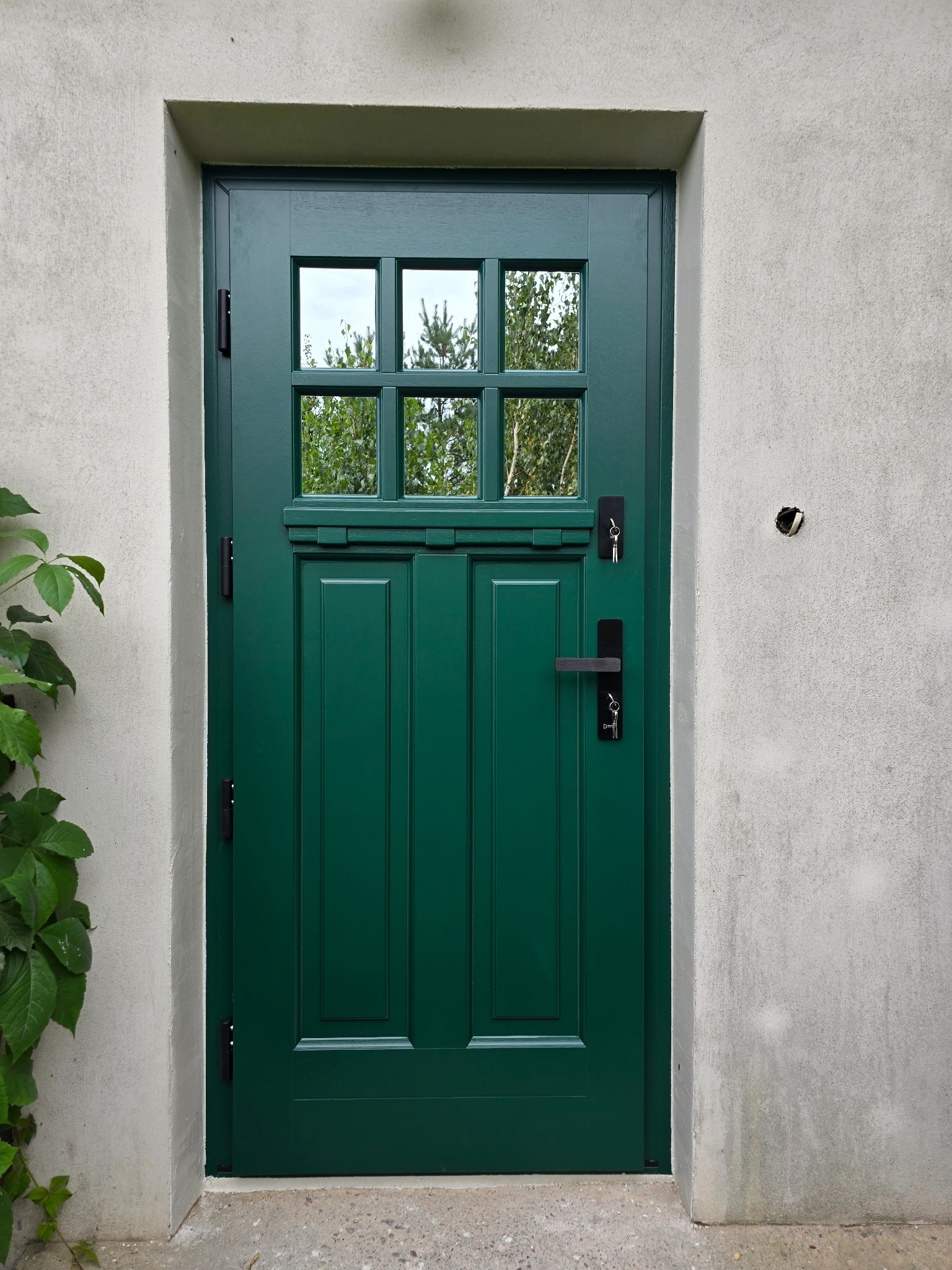Zielone drzwi zewnętrzne z szybami w szprosach, czarne okucia, klucze w zamku, szorstka ściana z otworem po dzwonku, widok na zieleń za szybami.