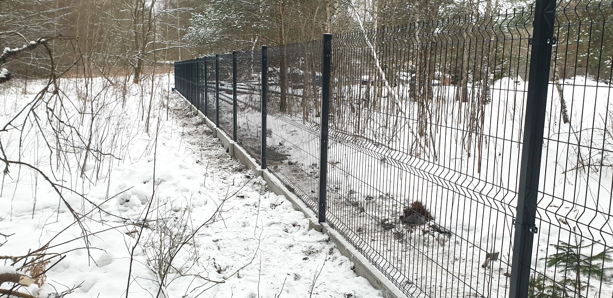 Nowo postawione, ciemne ogrodzenie panelowe na betonowej podmurówce, otoczone śniegiem i drzewami w zimowym krajobrazie.