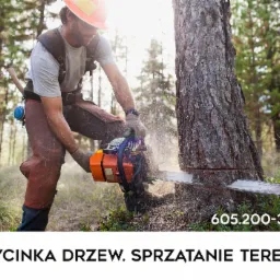 Mężczyzna w kasku i ochronnych spodniach tnie drzewo piłą spalinową, w tle las.