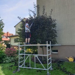 P-Trans--CleanGarden - Mężczyzna na rusztowaniu przycina żywopłot z purpurowych liści za pomocą nożyc spalinowych; obok domu z żółtą konewką, skoszony trawnik usiany obciętymi gałązkami.