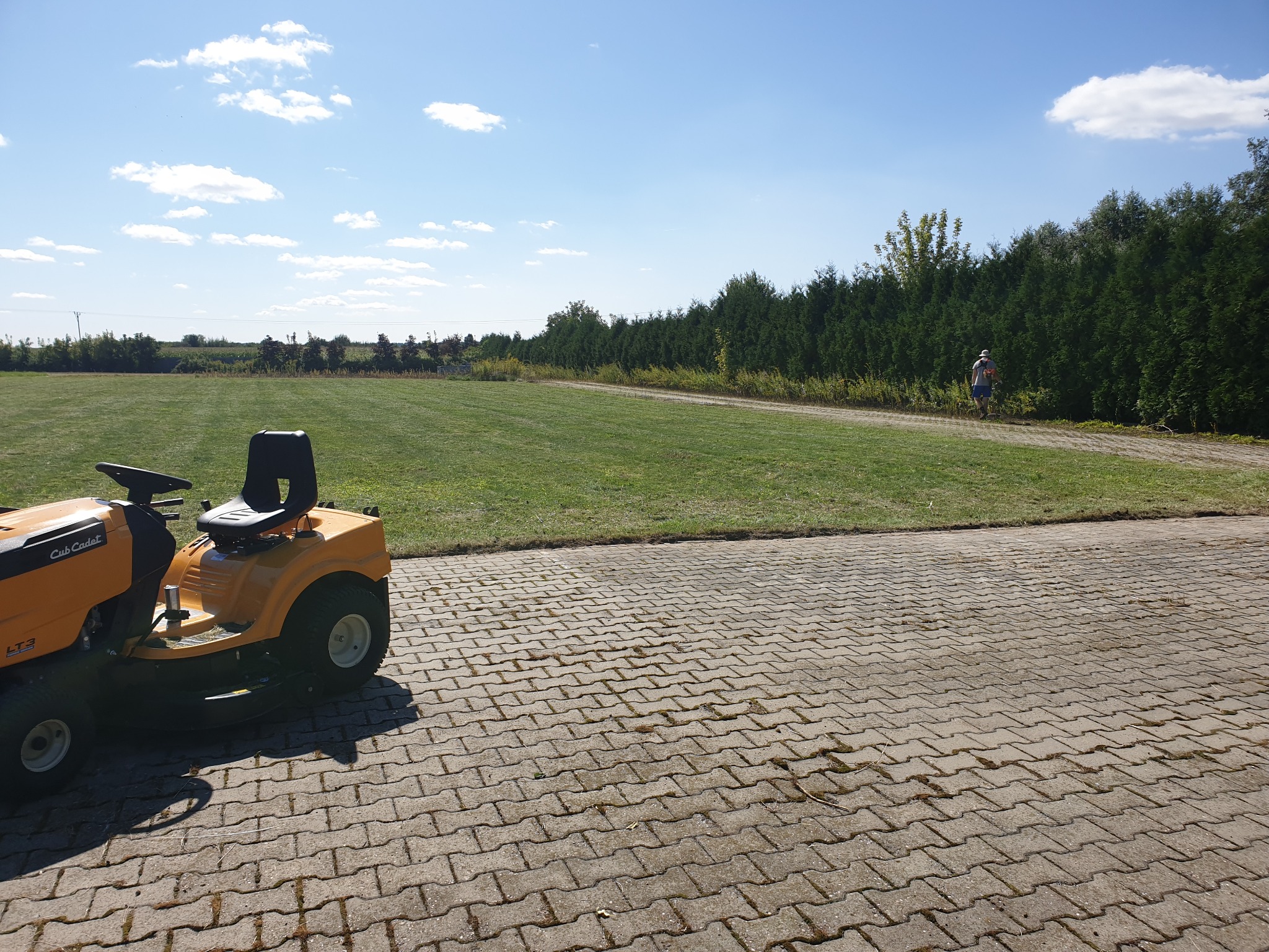 Żółta kosiarka samojezdna Cub Cadet LT3 na kostce brukowej, w tle rozległy trawnik i rząd wysokich drzew iglastych, osoba w oddali.