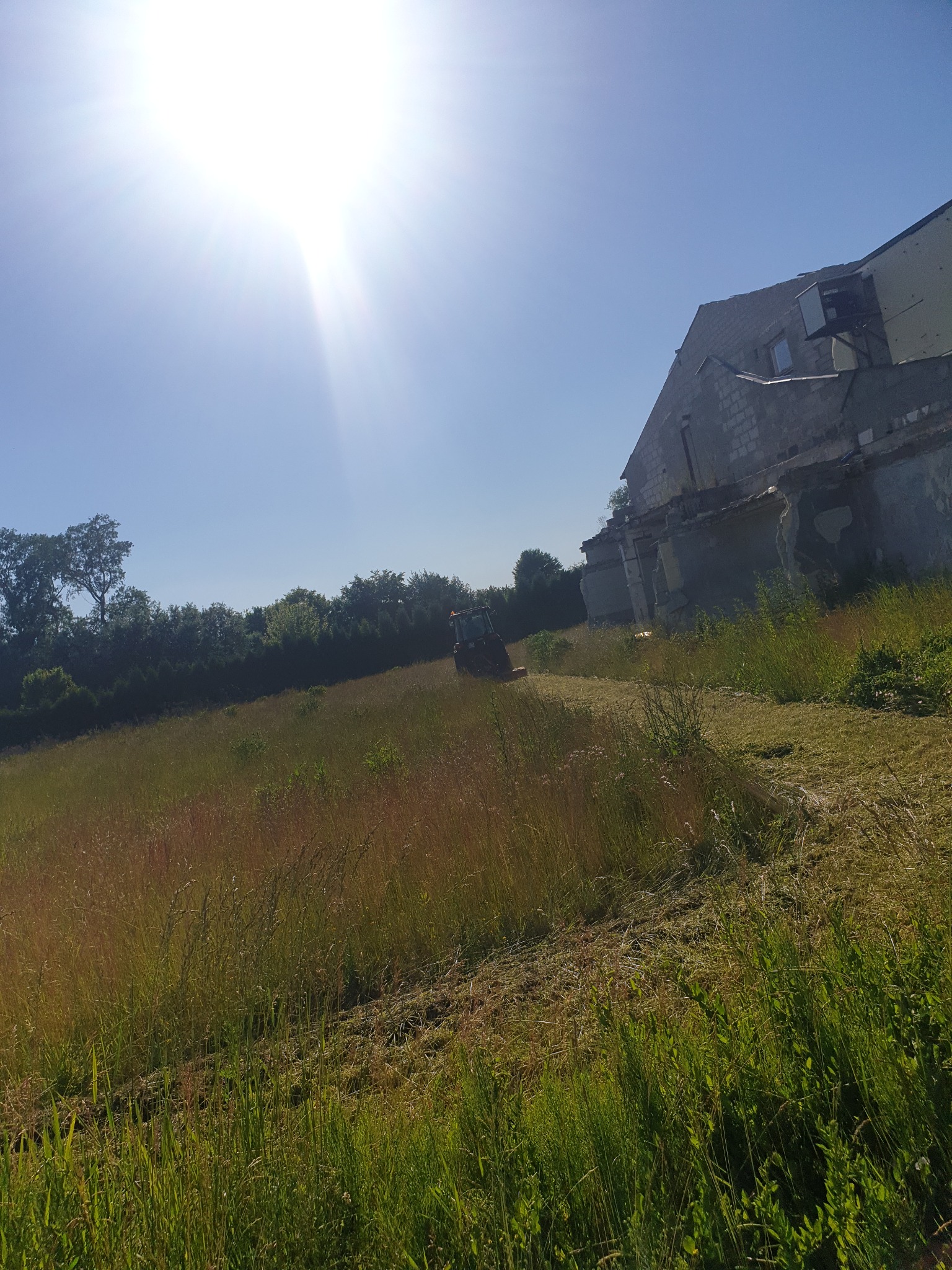 Traktor kosi wysoką trawę na działce z zaniedbanym, murowanym budynkiem w tle, widok w słoneczny dzień.
