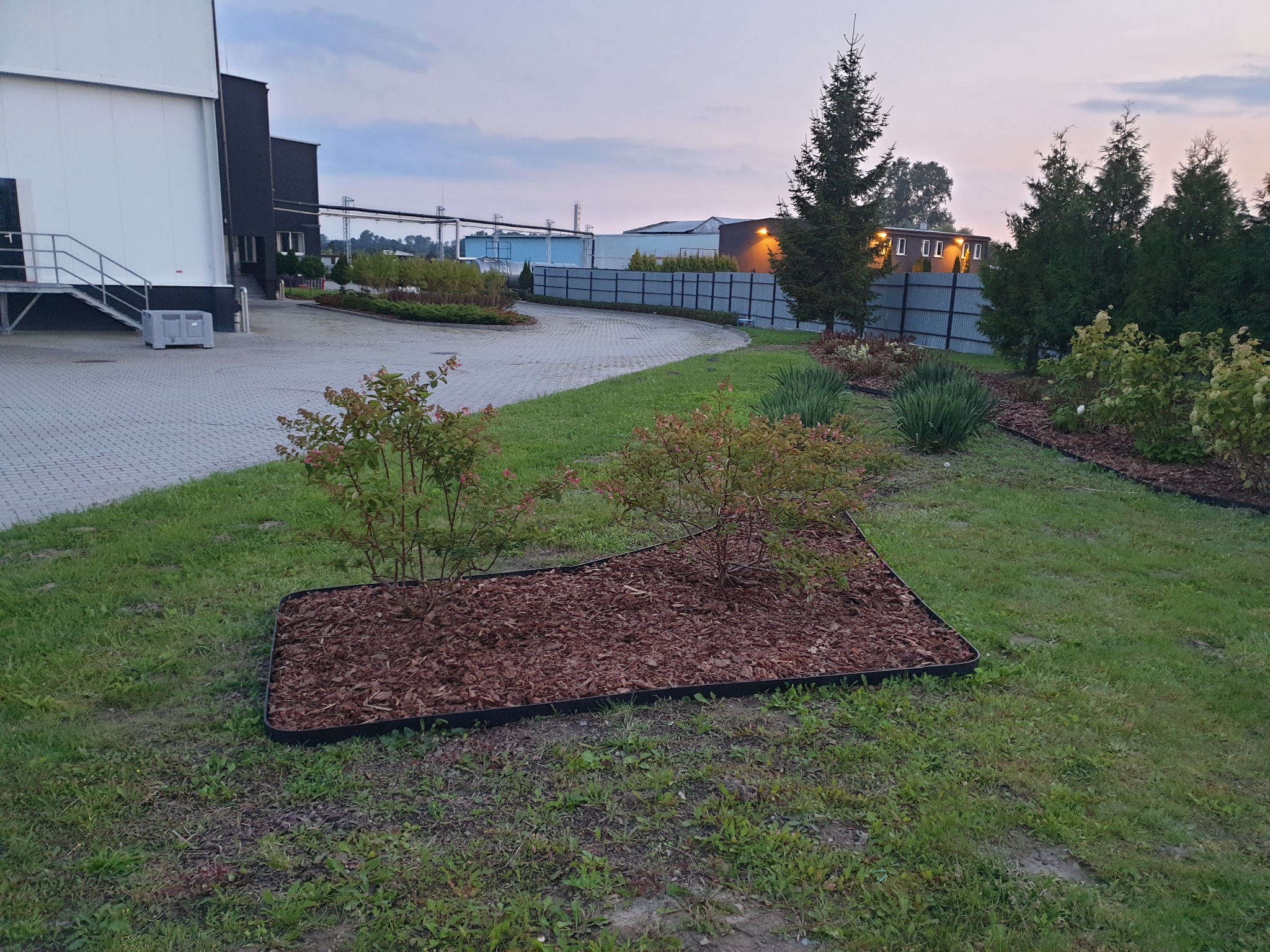 Kwadratowa rabata z korą i młodymi krzewami na trawniku przed budynkiem przemysłowym, widoczne drzewa iglaste i chodnik z kostki.