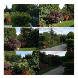 Mozaika sześciu zdjęć przedstawiająca różnorodne ujęcia zadbanego ogrodu z formowanymi krzewami, drzewami iglastymi i rabatami kwiatowymi. W dolnym lewym rogu widoczny mały drewniany domek dla dzieci.