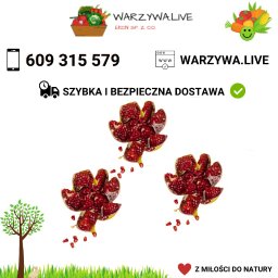 Warzywa Warszawa 5