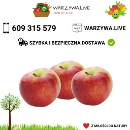 Warzywa Warszawa 6