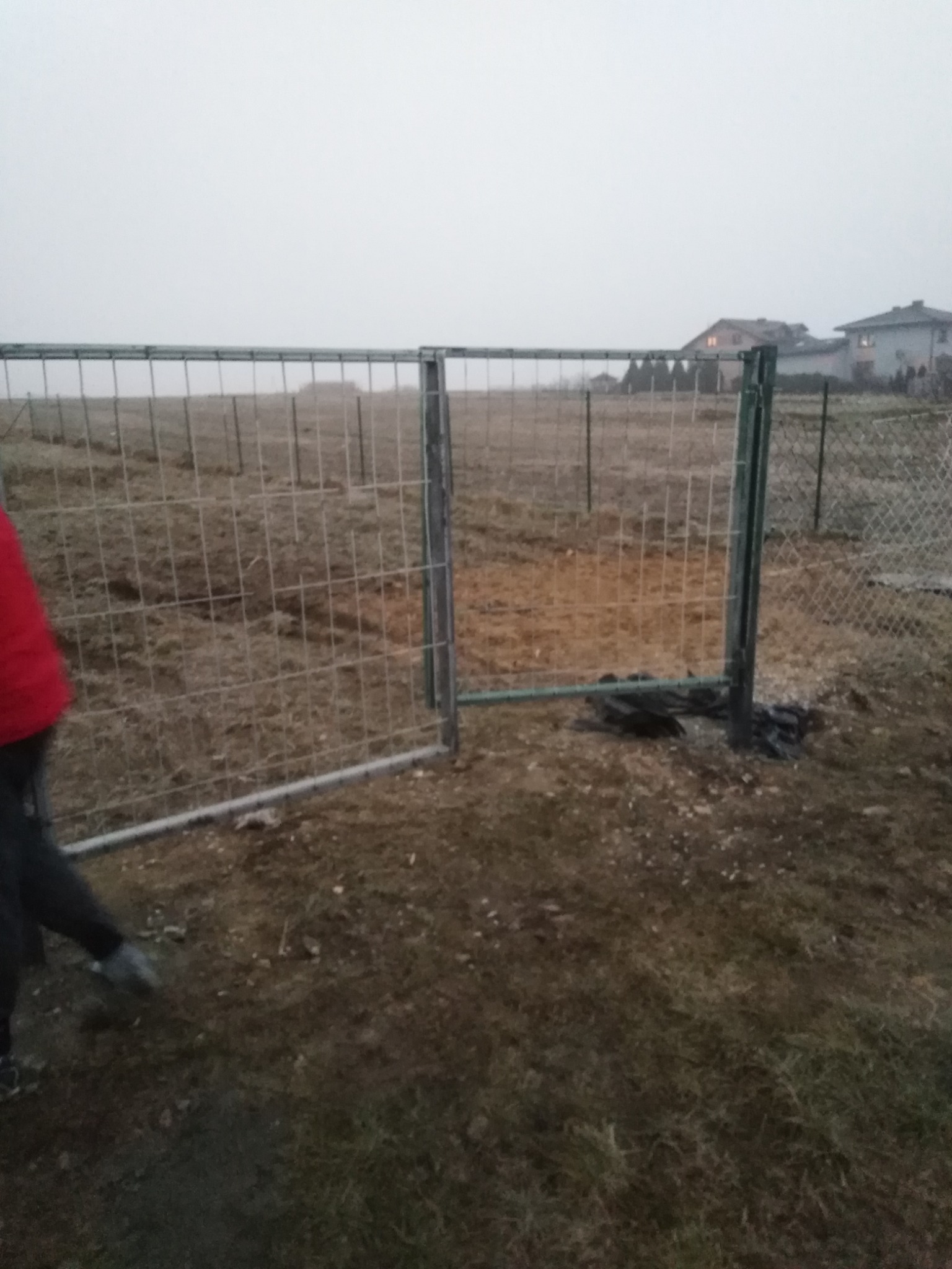 Fragment ogrodzenia panelowego z furtką, widoczne słupki i siatka, w tle zabudowa jednorodzinna w pochmurny dzień.