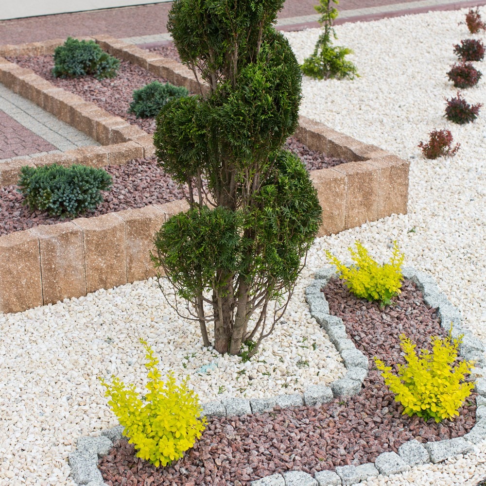 Ogród z białym grysem, formowaną roślinnością iglastą i rabatami z krzewami w kolorze limonki, obrzeża rabat wykonane z szarej kostki granitowej, w tle fragment nawierzchni z kostki brukowej.