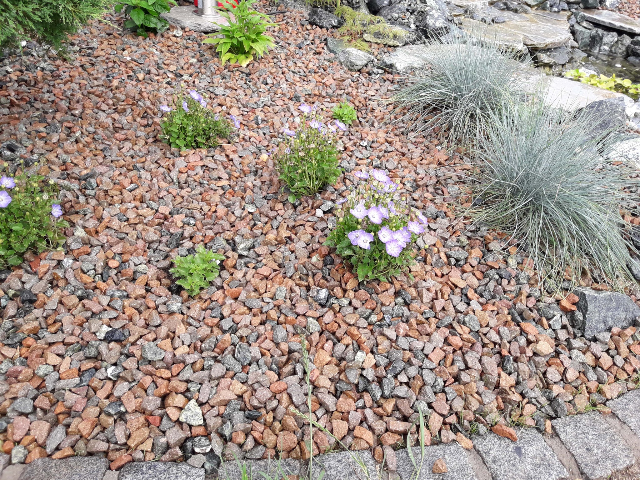 Dekoracyjny ogród z roślinnością i ścieżką wysypaną drobnym, czerwono-szarym kamieniem, obrzeżem z kostki granitowej i elementami wodnymi w tle.