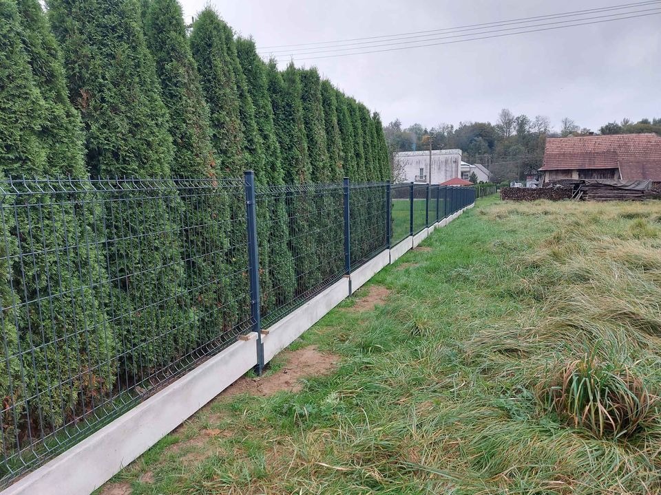 Panelowe ogrodzenie z podmurówką betonową, biegnące wzdłuż szpaleru wysokich tuj, z widocznym fragmentem podwórza i zabudowań w tle.