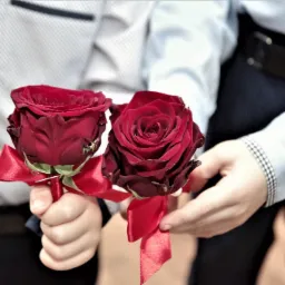 Dwie bordowe róże z czerwoną wstążką trzymane przez dwie osoby w eleganckich koszulach, zbliżenie na kwiaty.