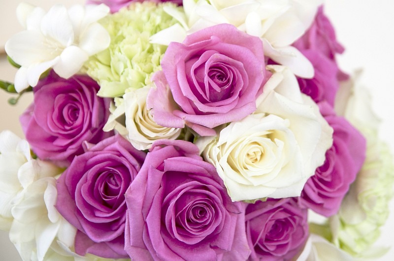 Bukiet ślubny z róż w odcieniach fuksji i kremowej bieli, uzupełniony frezjami i zielonymi goździkami, sfotografowany z bliska.