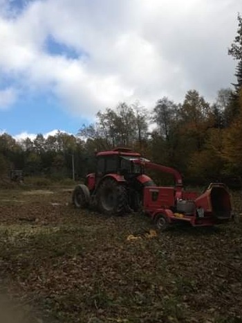 Czerwony traktor z rozdrabniaczem gałęzi na terenie po wycince drzew, widoczne ścięte pnie i gałęzie, w tle las i pochmurne niebo.
