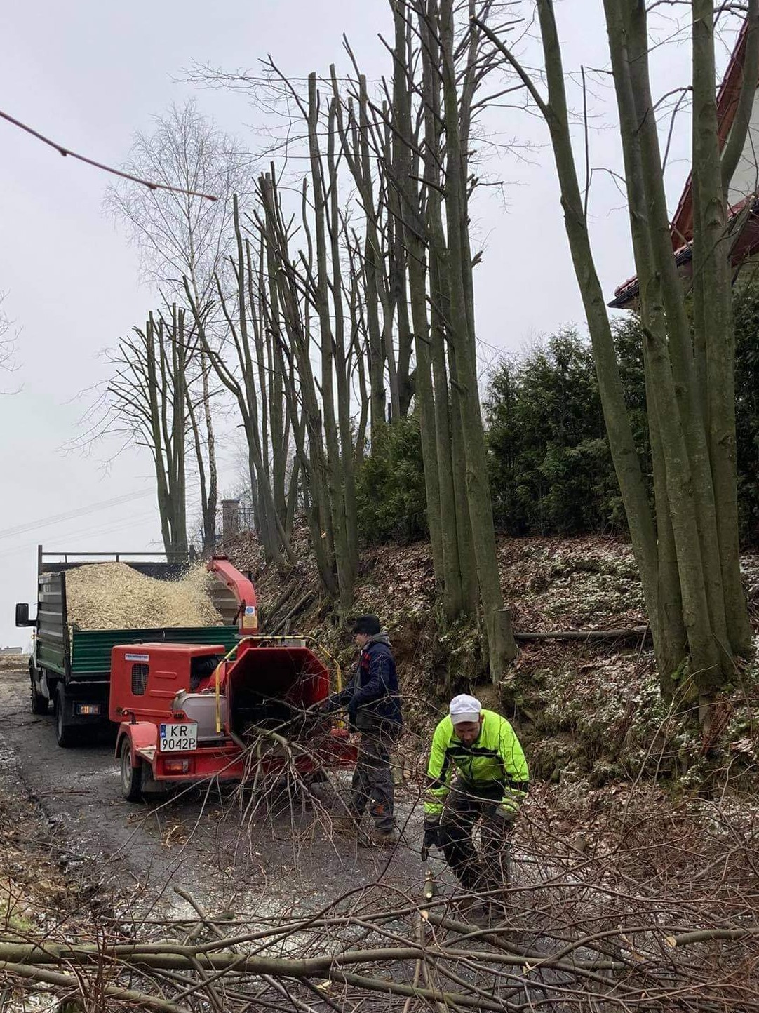 Pracownicy w trakcie przerabiania gałęzi na zrębki za pomocą rębaka, z tyłu widoczny samochód ciężarowy wypełniony zrębkami, w tle rząd ogołoconych drzew po przycince.