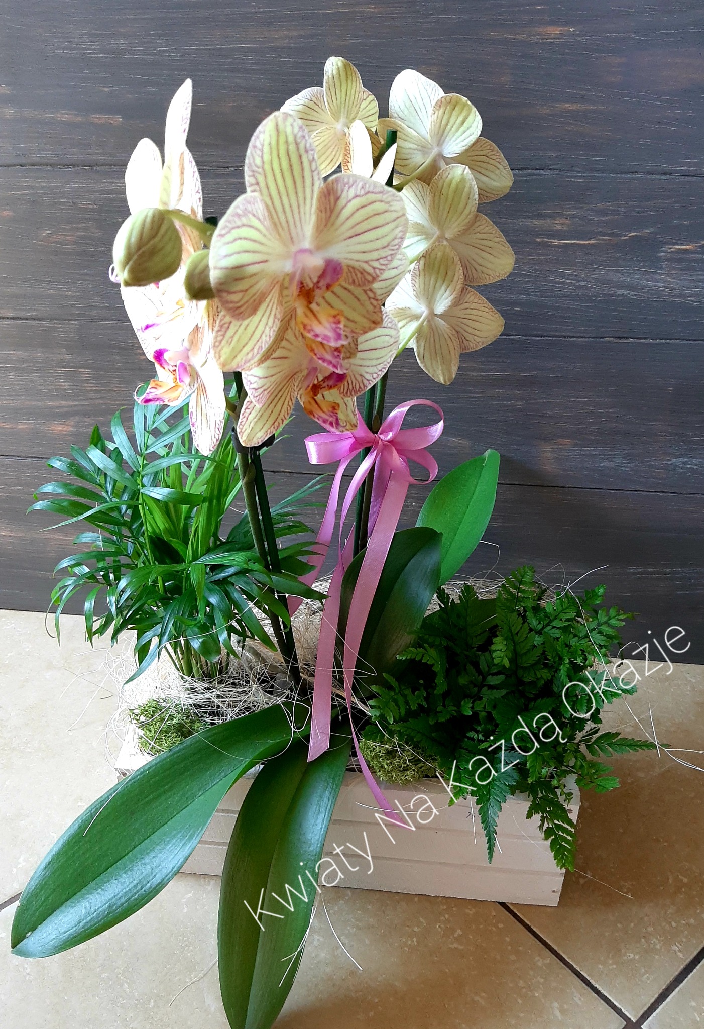 Kompozycja kwiatowa w drewnianej skrzynce z żółto-różowymi storczykami, zielonymi paprociami, palmą areką i różową wstążką na tle drewnianej ściany.