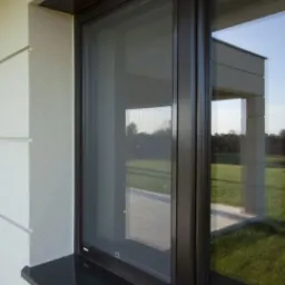 Zamontowana moskitiera w oknie z ciemną ramą, widok z zewnątrz na ogród i budynek w tle.