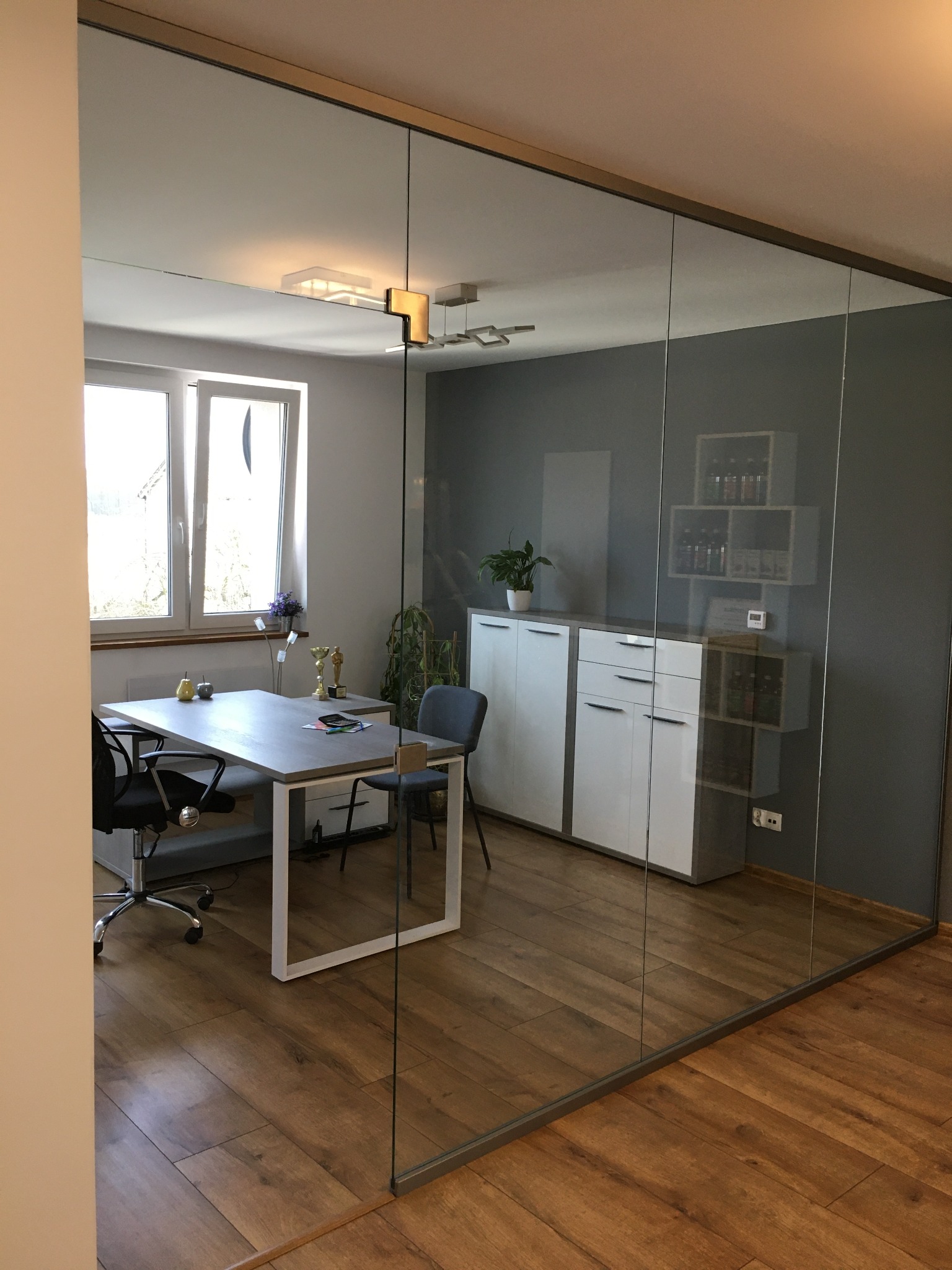 Szklana ściana działowa w biurze, widok na biurko, krzesła i szafki z roślinami, drewniana podłoga.