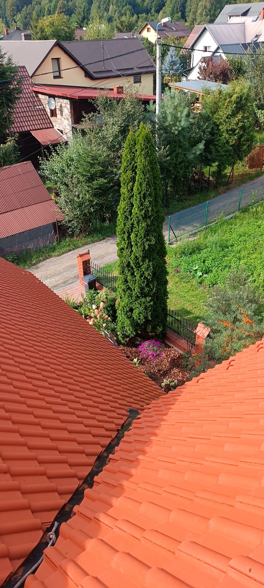 Pomarańczowy dach z widokiem na ogród z tujami i kwiatami, w tle zabudowa jednorodzinna.