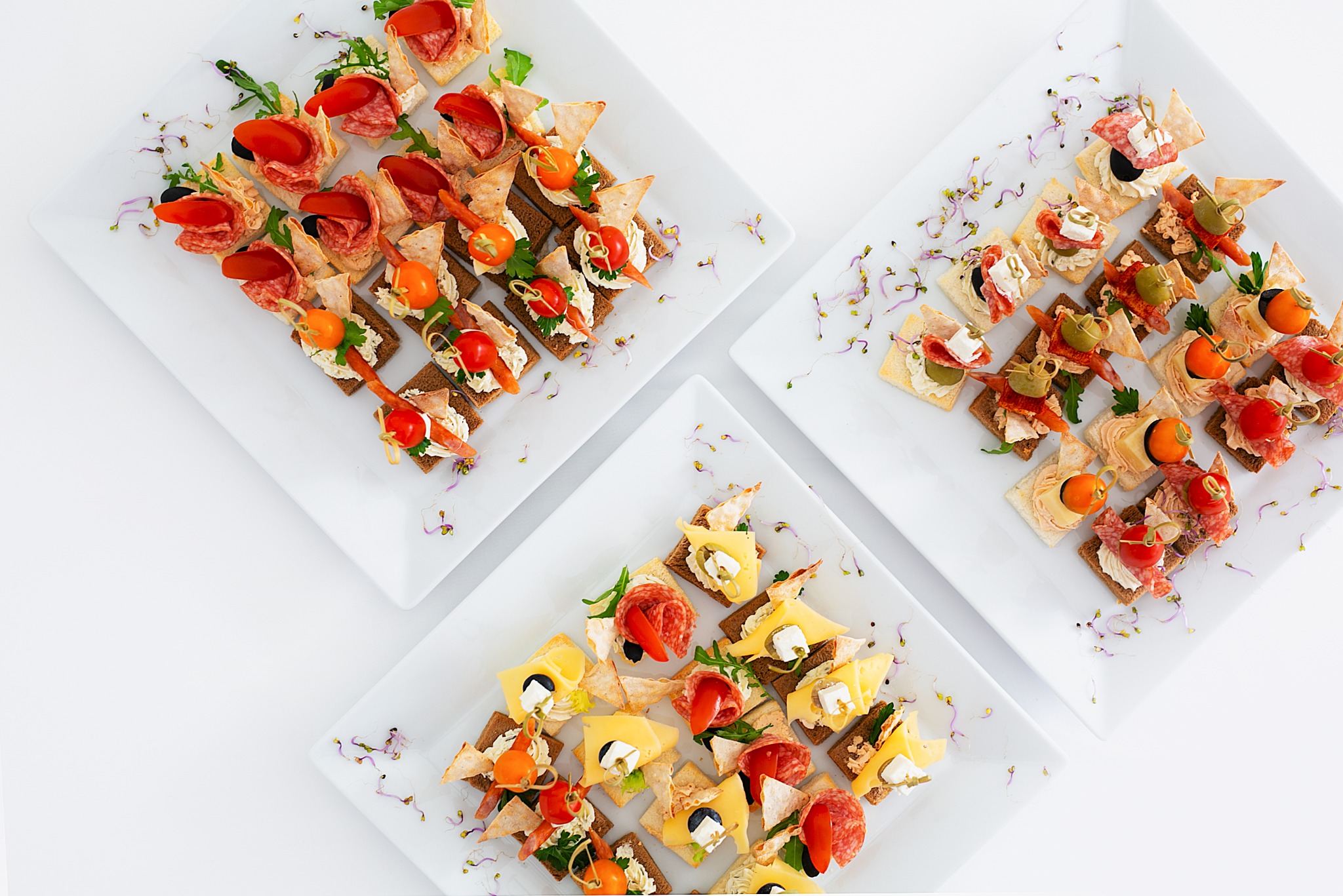Trzy kwadratowe białe talerze z różnorodnymi, apetycznie ułożonymi kanapkami na białym tle, ozdobione świeżymi kiełkami.