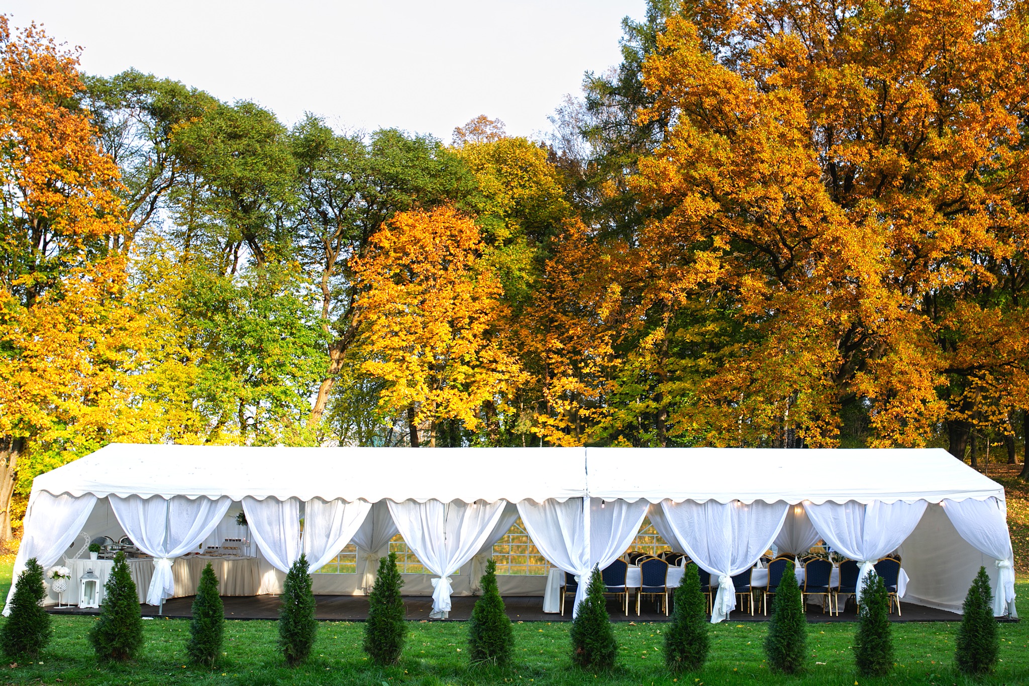 Biały namiot cateringowy z firanami na imprezę plenerową, jesienne drzewa w tle, dekoracja z iglaków przed wejściem.