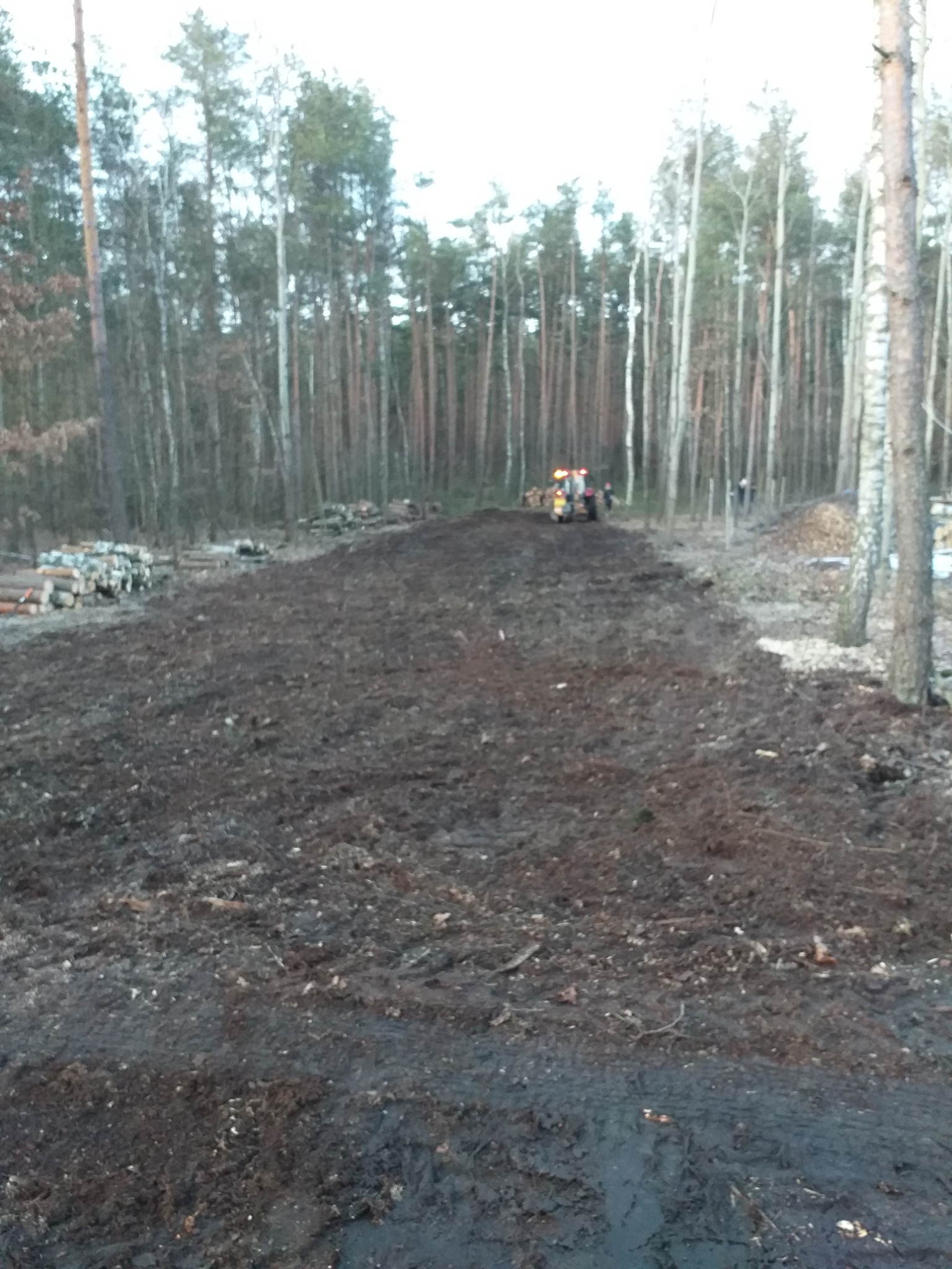 Teren po wycince drzew z przygotowaną ziemią pod nasadzenia, w tle sterta pociętych pni oraz ciągnik