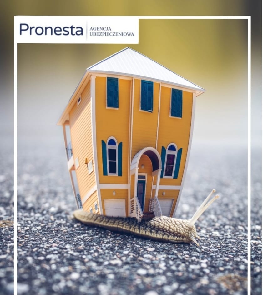 Żółty dom z niebieskimi okiennicami, stylizowany na ślimaka, z logo agencji ubezpieczeniowej Pronesta w tle.