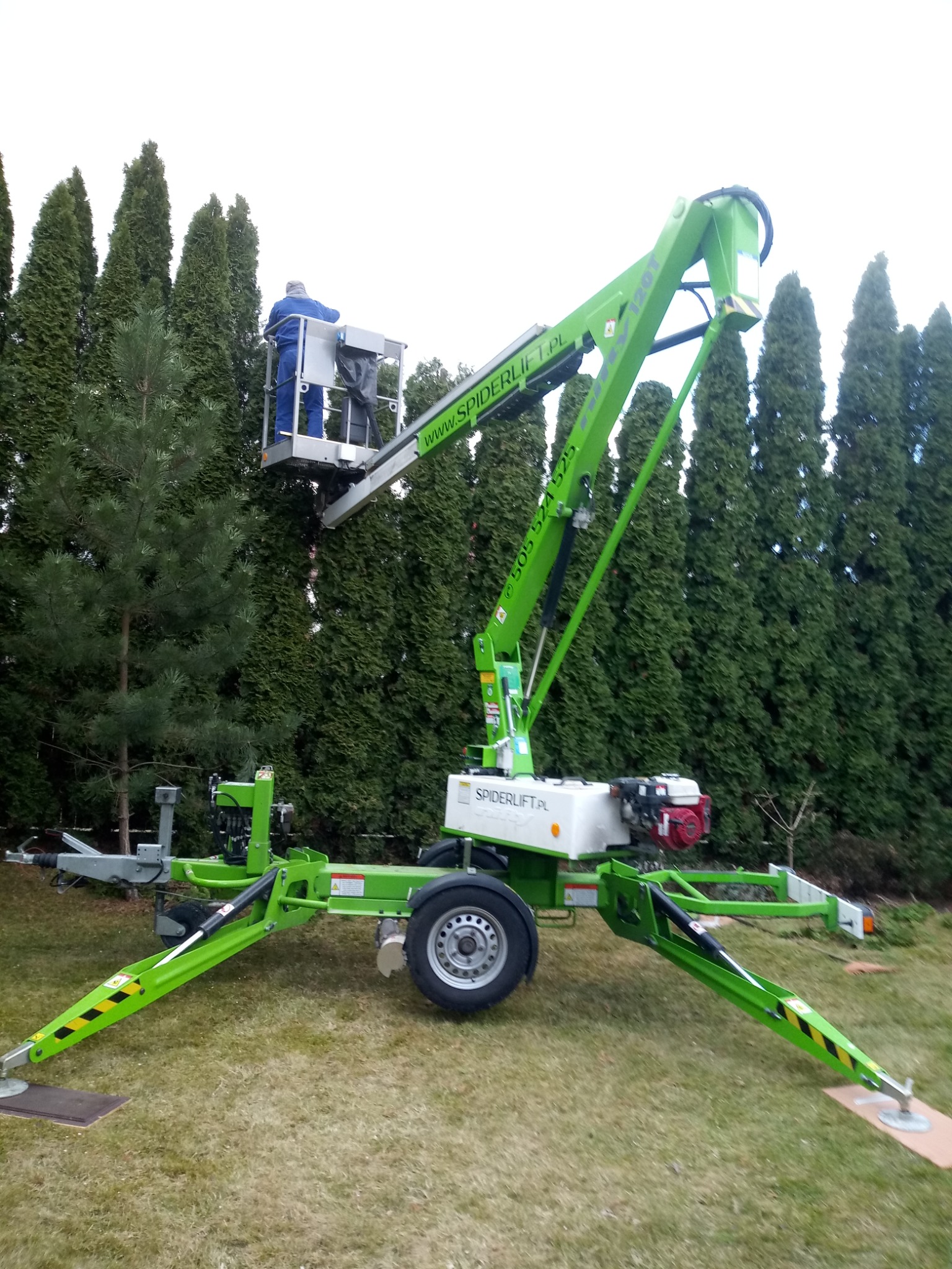 Pracownik w niebieskim kombinezonie przycina wysokie tuje z podnośnika koszowego Spiderlift na trawniku.
