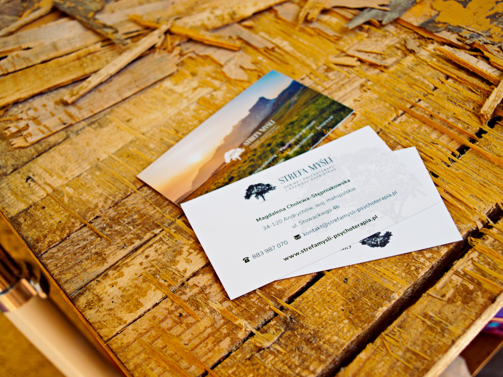 Dwie wizytówki firmy 'Strefa Myśli' leżące na drewnianym blacie o nieregularnej fakturze, jedna z widokiem górskim, druga z danymi kontaktowymi.