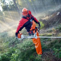 zakładanie,projektowanie ogrodów,pielęgnacja ogrodów,leśnictwo,prace leśne,wycinka drzew,transport