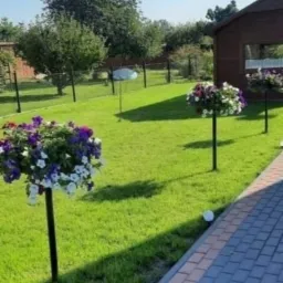 Kolejna z naszych realizacji, Trawnik z siewu.