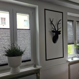 FHU Darpol Dariusz Rypuła - Jasne wnętrze z oknami przesłoniętymi plisowanymi osłonami okiennymi w odcieniach szarości. Na parapetach dekoracje i rośliny w doniczkach.