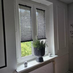 FHU Darpol Dariusz Rypuła - Szczecin: Okno z plisowanymi osłonami w kolorze grafitu, dekorowane rośliną w doniczce i figurkami sów. Nowoczesny design i funkcjonalność w jednym.