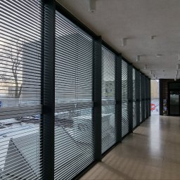FHU Darpol Dariusz Rypuła - Wnętrze korytarza z rzędem okien przesłoniętych aluminiowymi żaluzjami w kolorze grafitowym. Widok na zewnątrz z drzewami i elementami miejskiego krajobrazu.