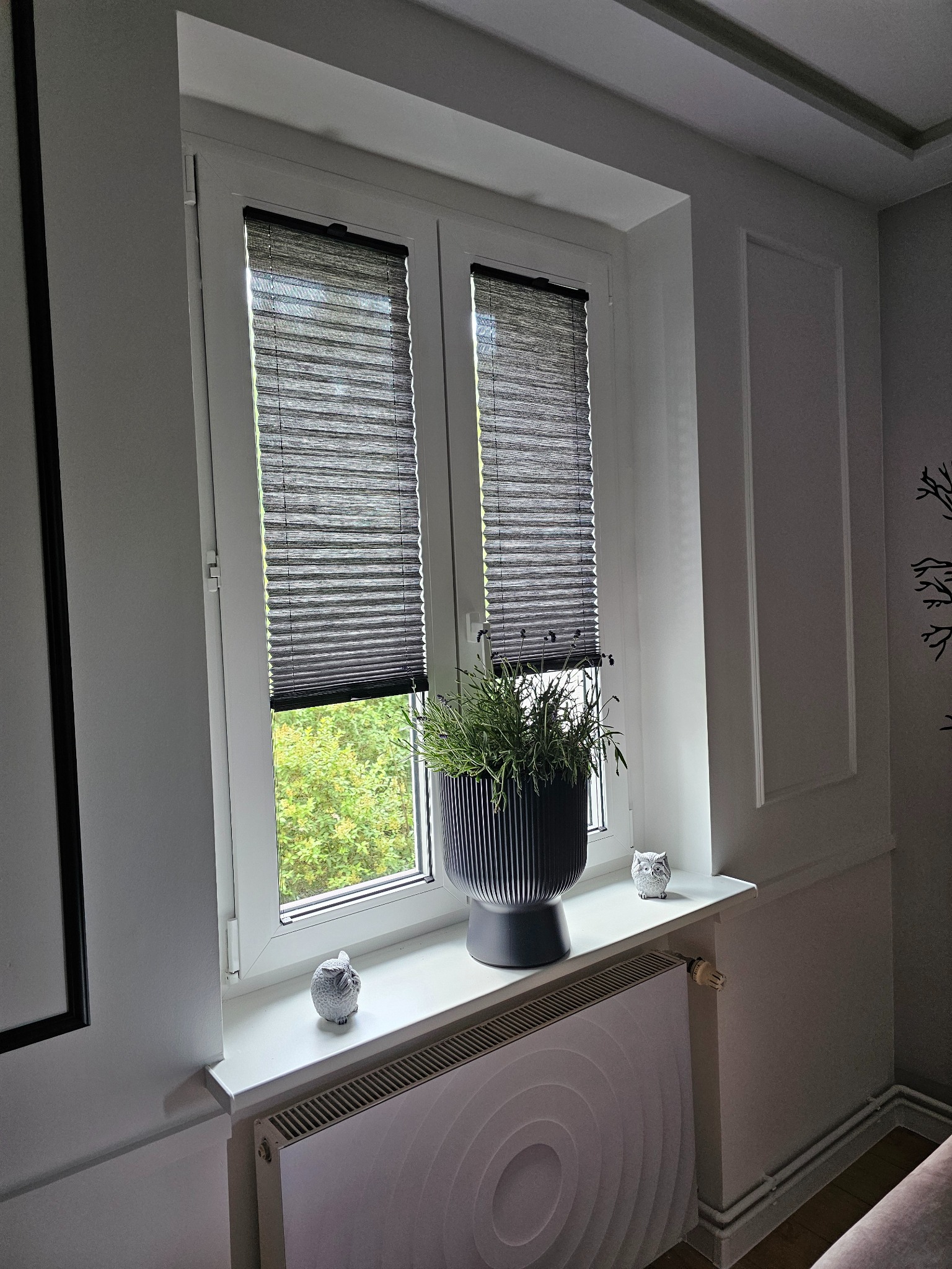 Szczecin: Okno z plisowanymi osłonami w kolorze grafitu, dekorowane rośliną w doniczce i figurkami sów. Nowoczesny design i funkcjonalność w jednym.