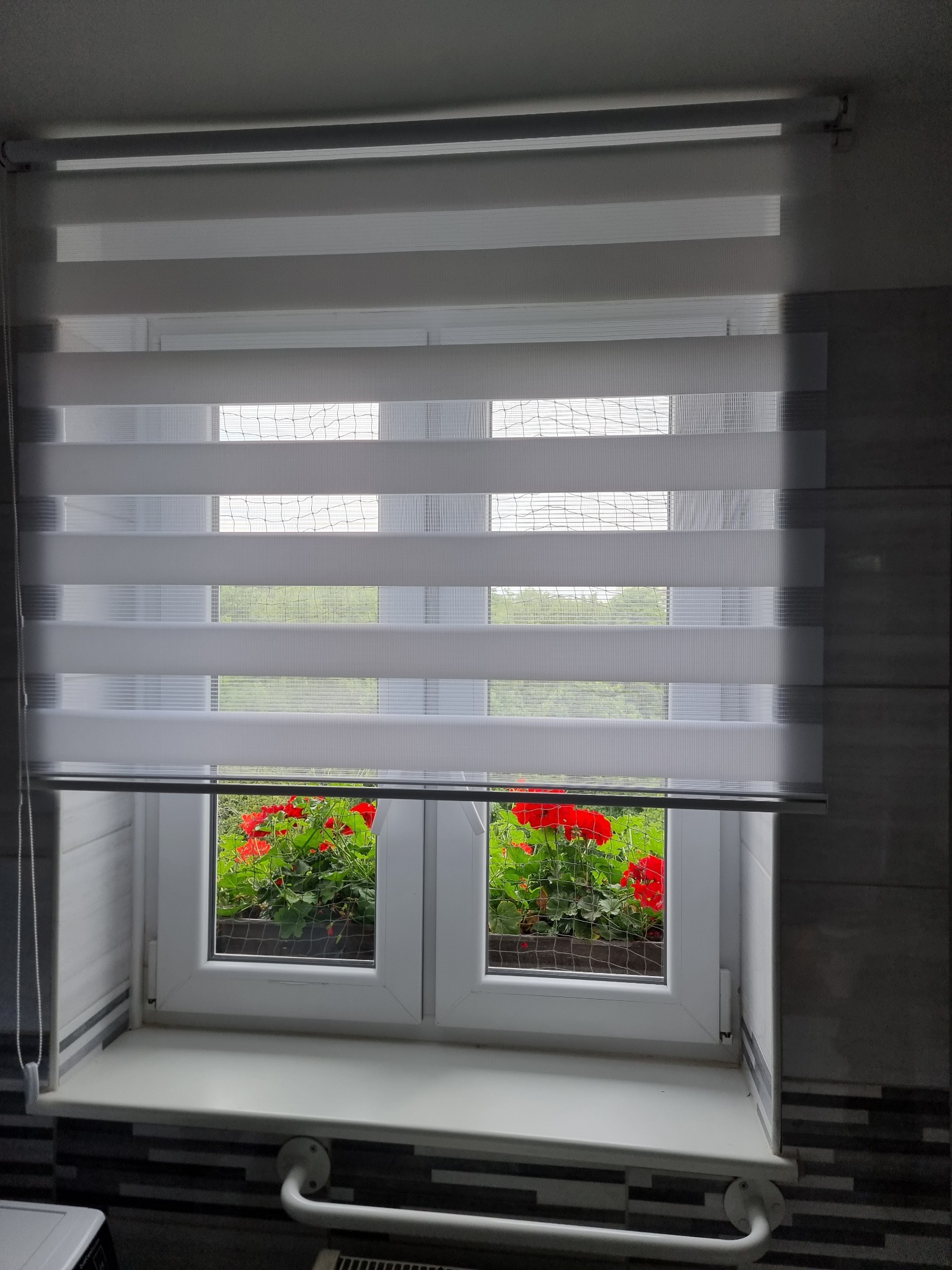 Okno z białą ramą i zamontowaną roletą dzień noc, przez którą widać czerwone kwiaty na zewnątrz. Fragment ściany z szaro-białymi płytkami w tle.