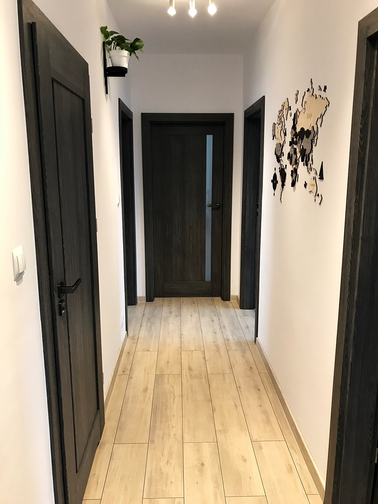 Długi korytarz z drewnopodobną podłogą, trzema ciemnymi drzwiami, białą ścianą z dekoracją w postaci drewnianej mapy świata i doniczką z rośliną zawieszoną na ścianie.