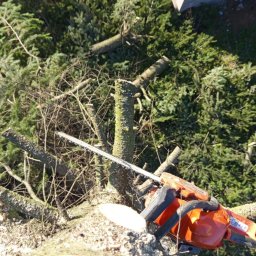 Wycinka drzew Kłodzko 4