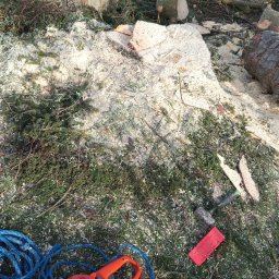 MNM Invest Usługi Ogrodniczo Budowlane Grzegorz Zięba - Świeżo ścięte pnie drzew i gałęzie pokryte grubą warstwą wiórów drzewnych, obok leży pomarańczowa piła łańcuchowa Husqvarna, niebieski sznur i dwa czerwone kliny do drewna.