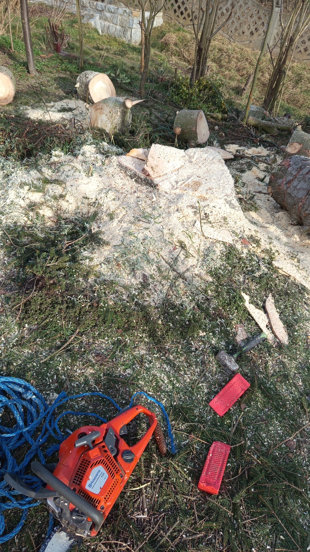 Świeżo ścięte pnie drzew i gałęzie pokryte grubą warstwą wiórów drzewnych, obok leży pomarańczowa piła łańcuchowa Husqvarna, niebieski sznur i dwa czerwone kliny do drewna.