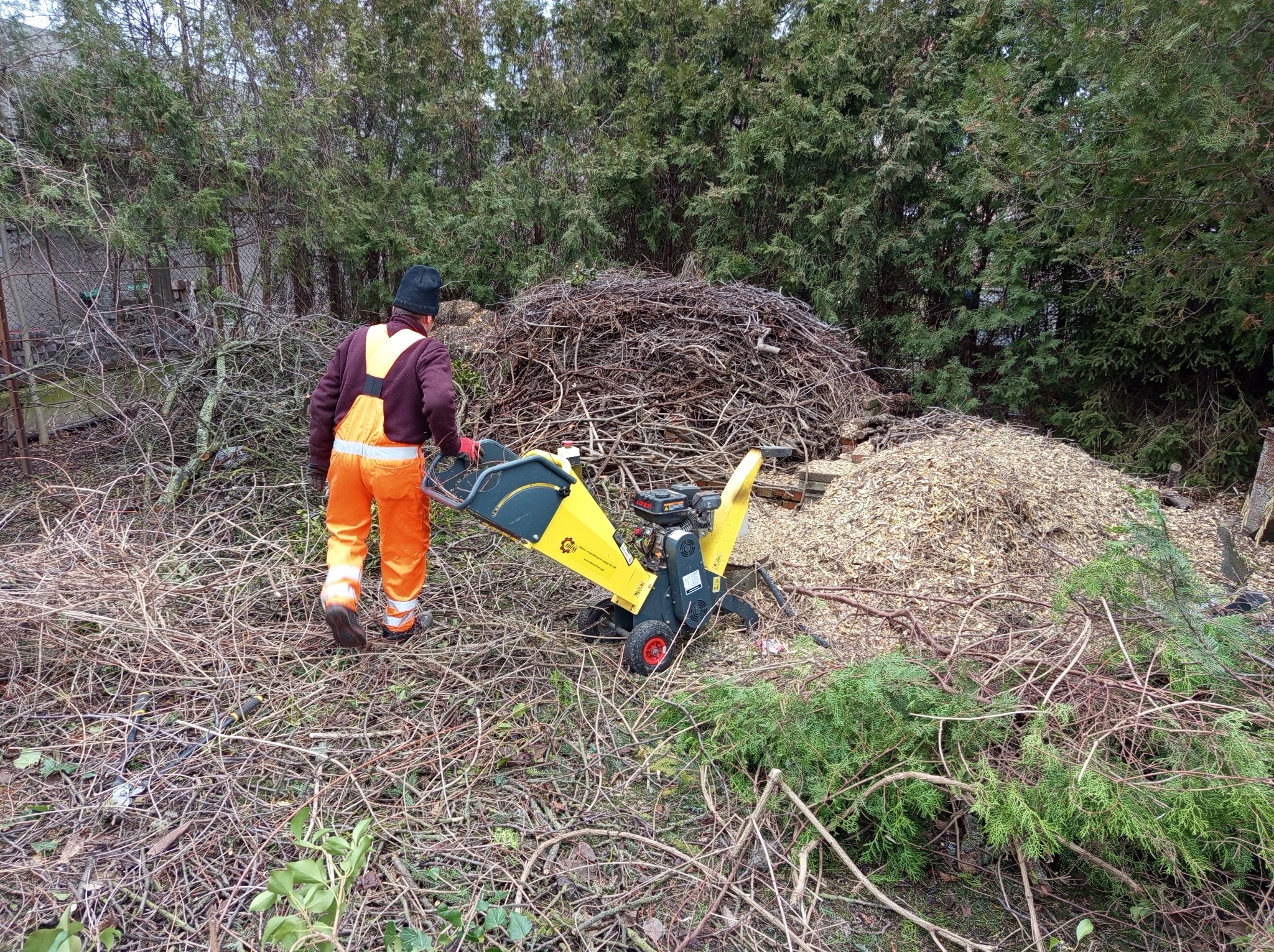 Pracownik w pomarańczowym kombinezonie prowadzi żółto-czarną rozdrabniarkę gałęzi na tle sterty gałęzi i zrębków.