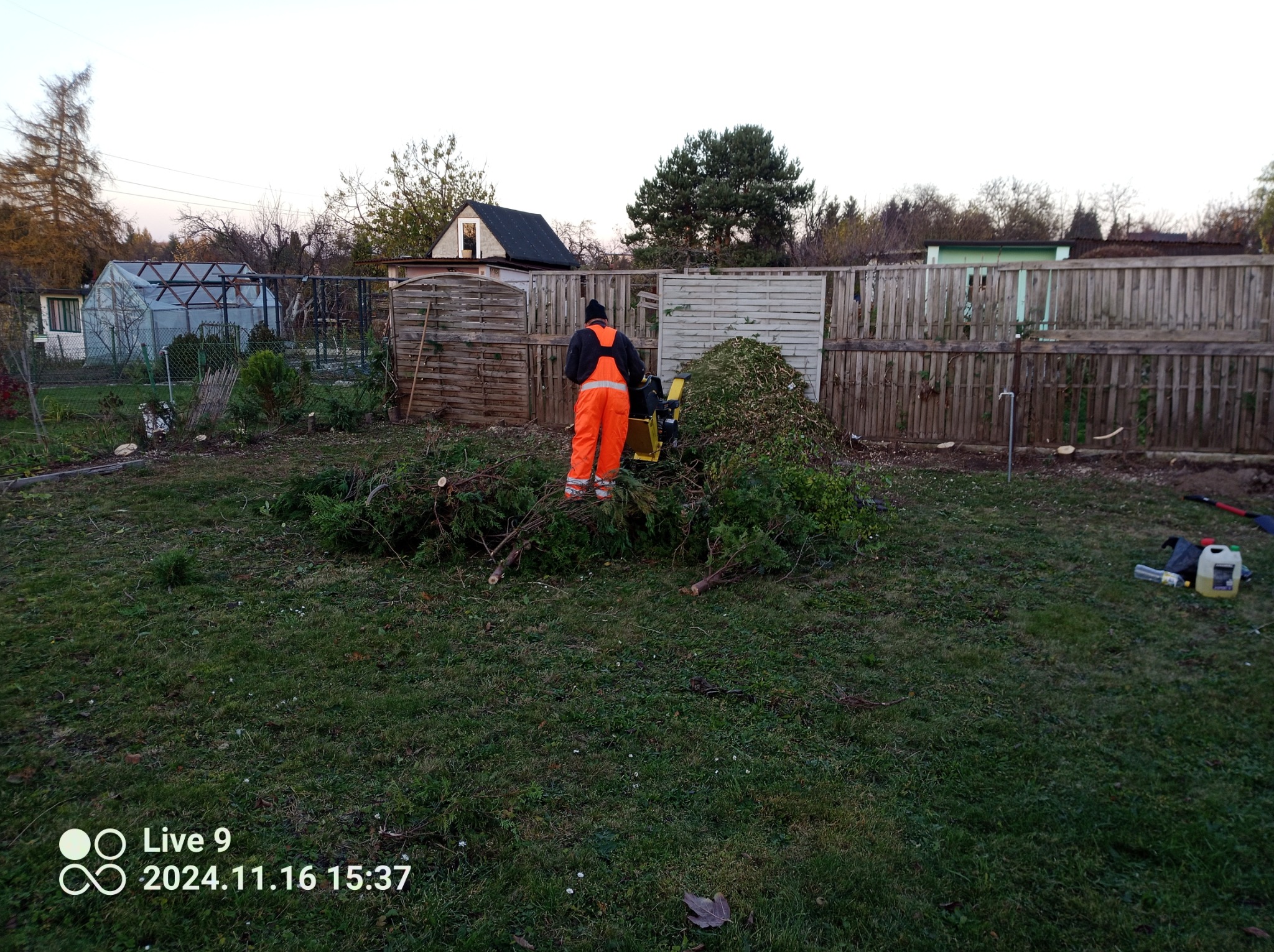 Pracownik w pomarańczowym kombinezonie obsługuje rozdrabniacz gałęzi na trawniku, w tle drewniany płot i zabudowania gospodarcze.