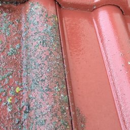 PACZO-SERVICE PAWEŁ PASZKOWSKI - Czerwona dachówka przed i po czyszczeniu. Lewa strona pokryta mchem i brudem, prawa czysta i błyszcząca, mokra od wody. Widok z bliska na fragment dachu.