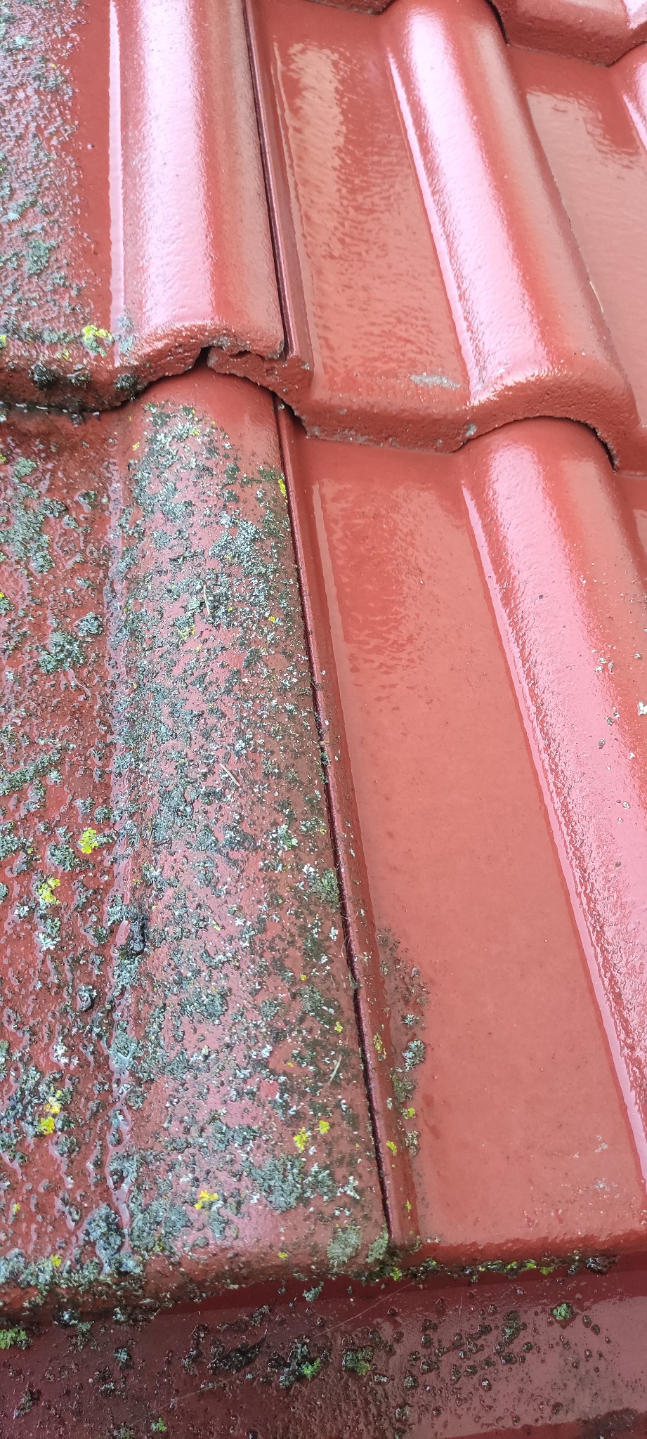 Czerwona dachówka przed i po czyszczeniu. Lewa strona pokryta mchem i brudem, prawa czysta i błyszcząca, mokra od wody. Widok z bliska na fragment dachu.