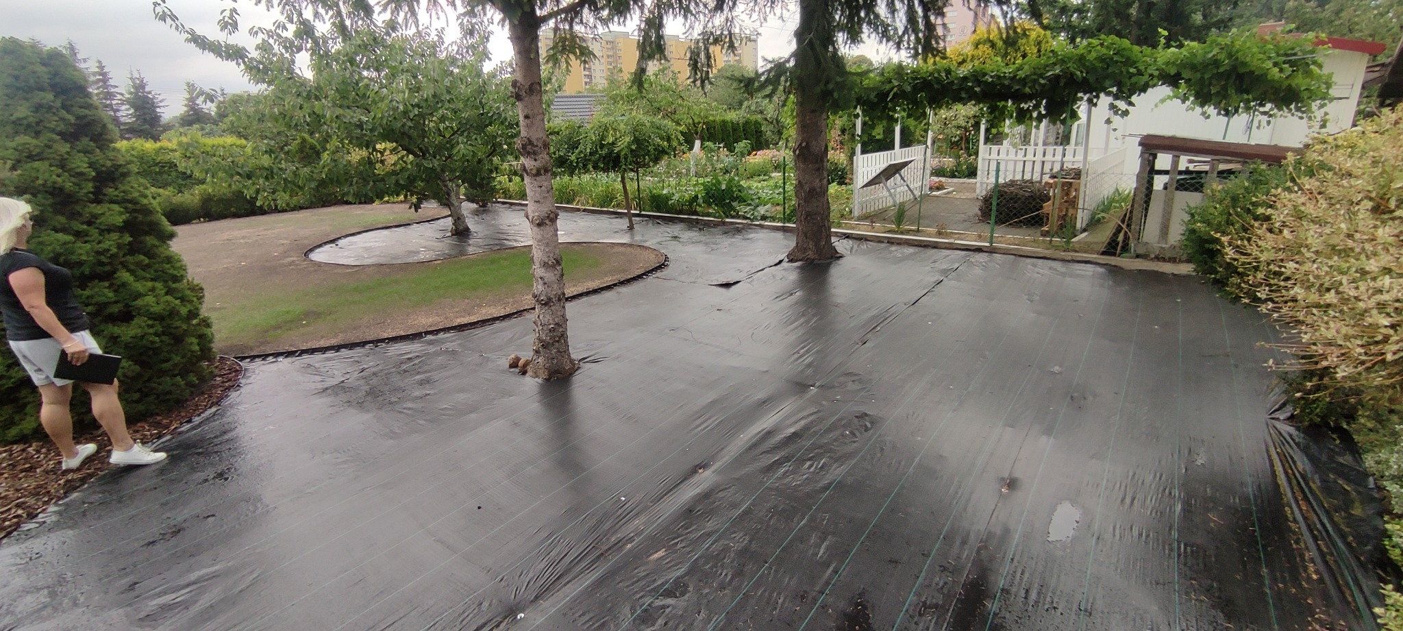 Przygotowanie terenu pod trawnik z rolki: rozłożona czarna agrowłóknina wokół drzew i rabat, widoczna kobieta z teczką w ogrodzie.