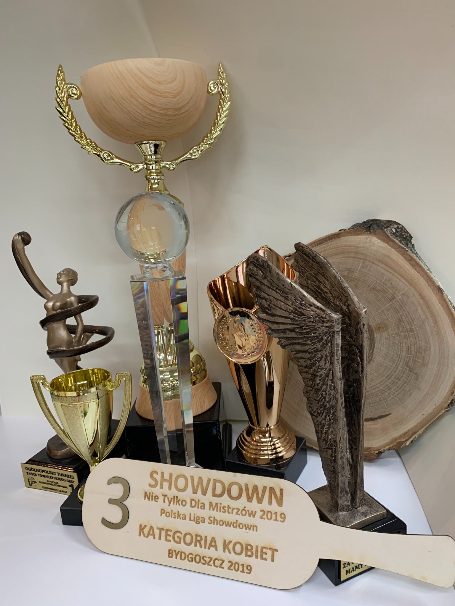 Puchary, medale, statuetki, trofea wykonywane na zlecenie firmy Łuczniczka oraz Oculus z Bydgoszczy