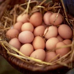 Brązowe, surowe produkty w wiklinowym koszyku wyłożonym sianem, blisko ujęcia.