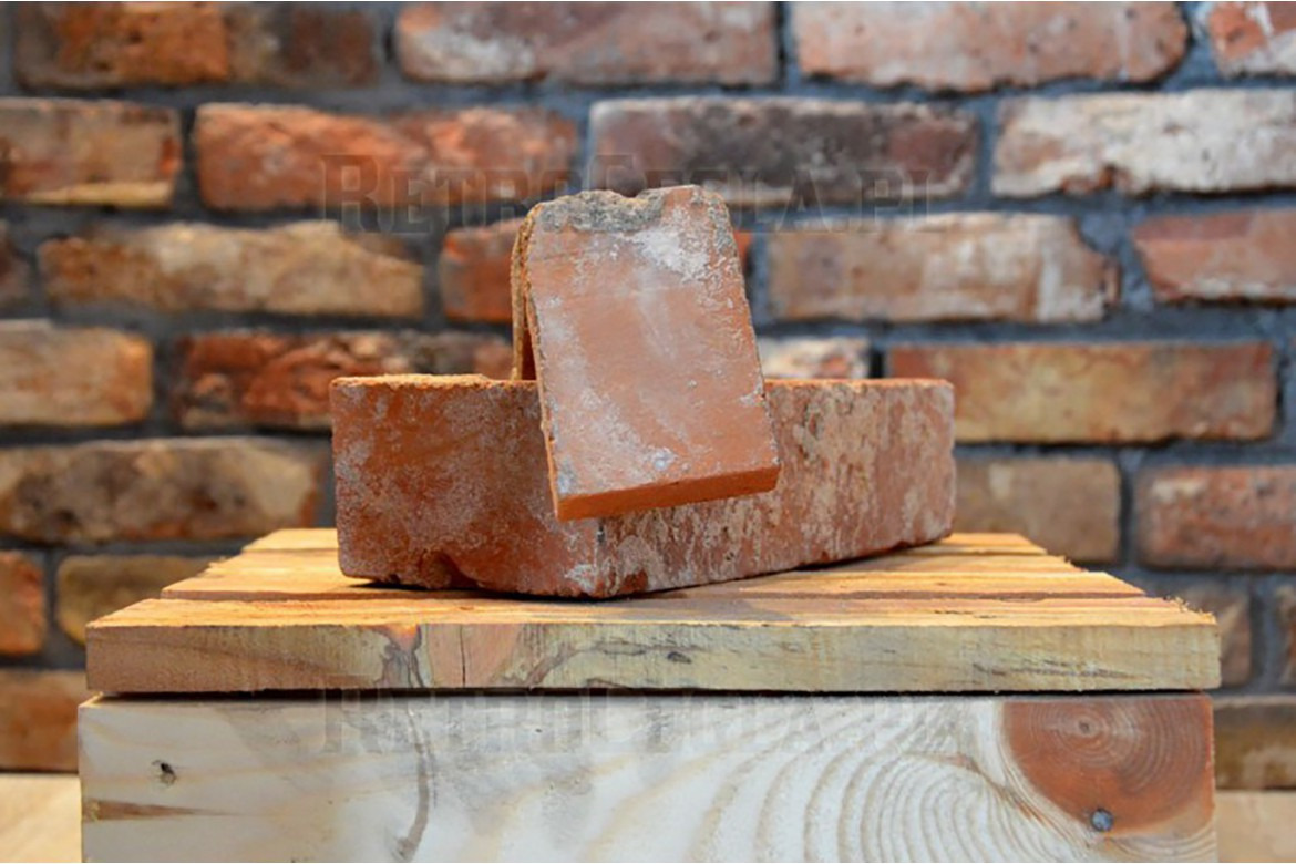 Dwie cegły ceramiczne na drewnianej palecie, z ceglaną ścianą w tle, prezentacja materiałów budowlanych.