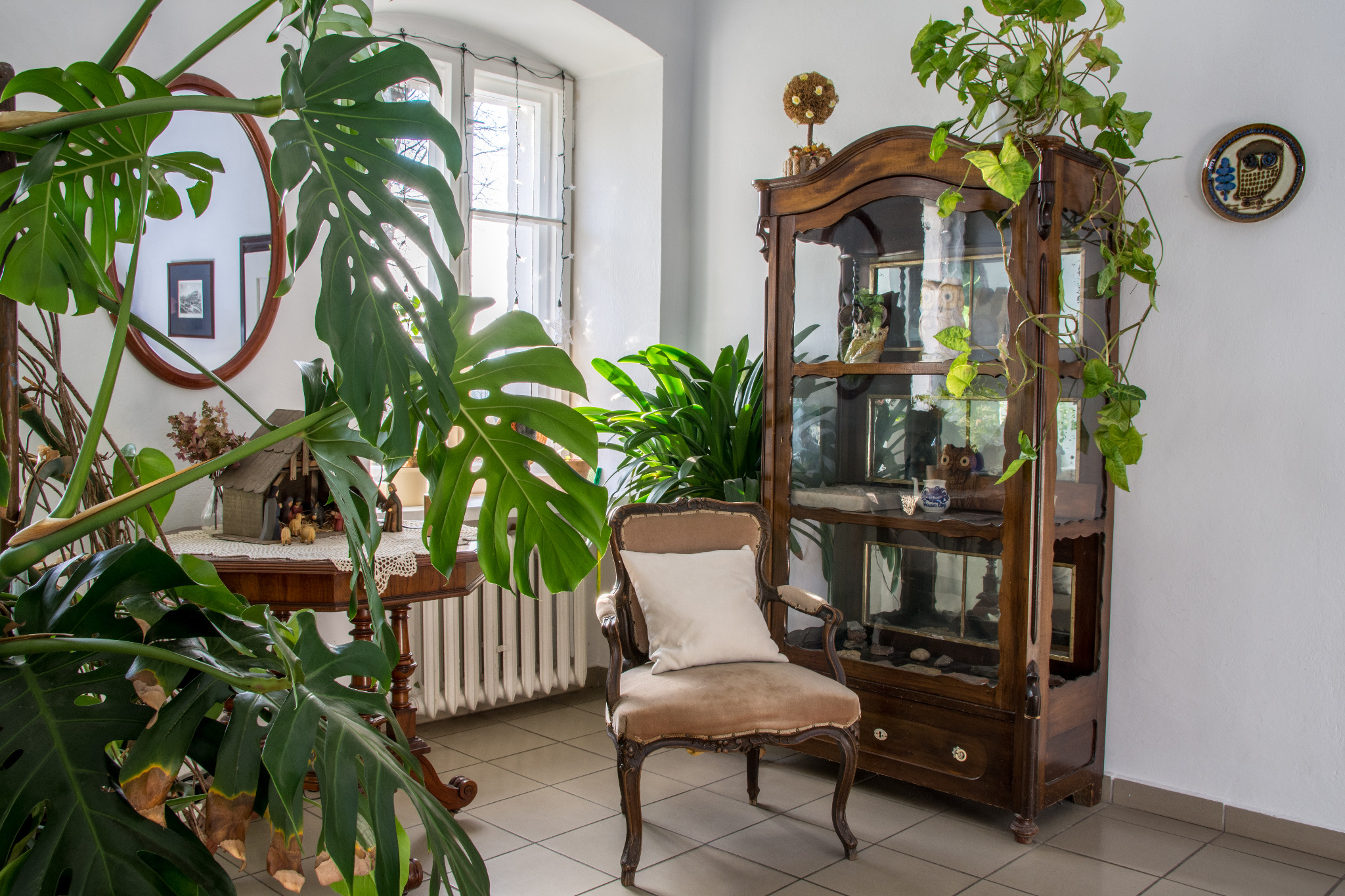 Stylowe wnętrze: Antyczny kredens z dekoracjami, fotel z poduszką i bujna monstera w jasnym pokoju.